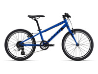 Giant ARX20 kids 20”wheels mountain bike