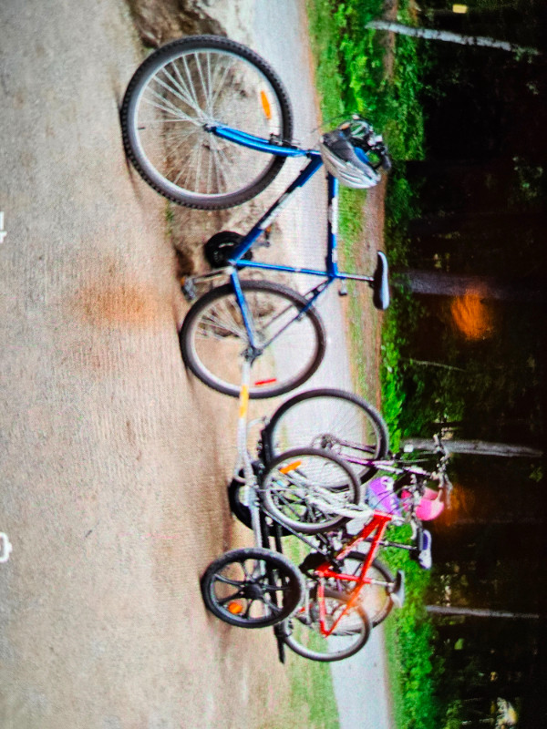 Remorque à vélo dans Enfants  à Laval/Rive Nord - Image 2