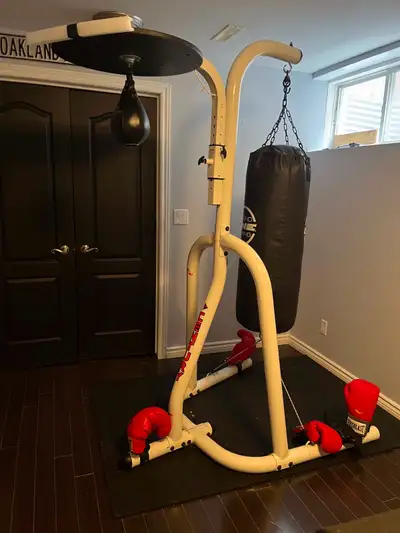 Professional Boxing Platform with 100lb heavy bag and speed bag, View more