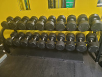 York Dumbells 55-100 lbs w rack