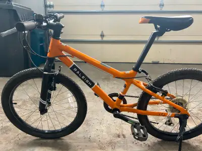Raleigh Rowdy 20 Junior Mountain Bike 2019-Great Condition!