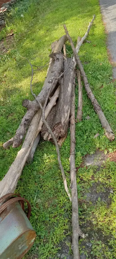 Located in Aylmer... Uncut lengths. Not a large amount but enough for a couple of weekend campfires....