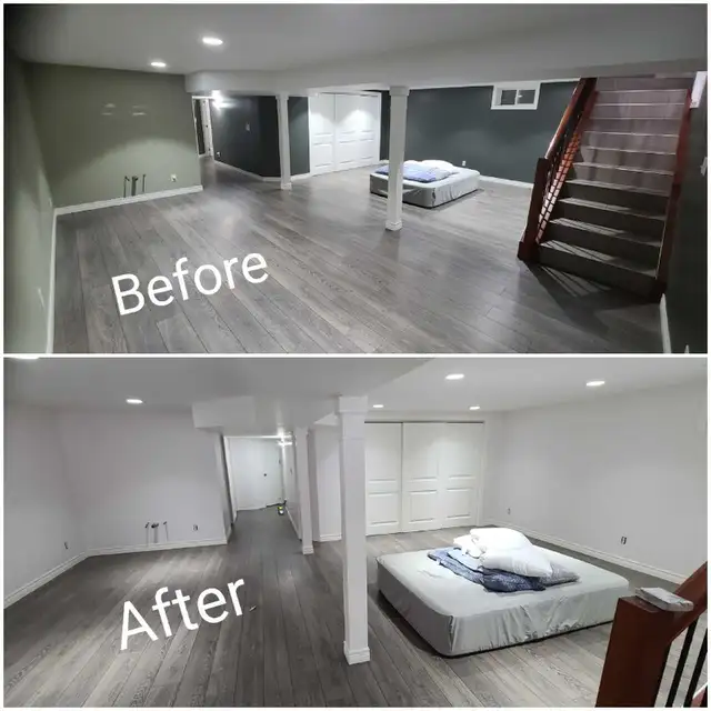 Professional Painter594614342166128646