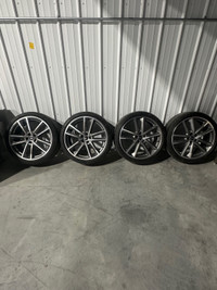 Audi rims and tires