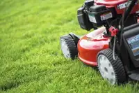 Lawn Maintenance Services: Mowing, Trimming & Spring Cleanups