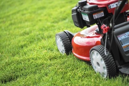 Lawn Maintenance Services: Mowing, Trimming & Spring Cleanups in Lawn, Tree Maintenance & Eavestrough in Sudbury