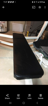 Cybex flat bench