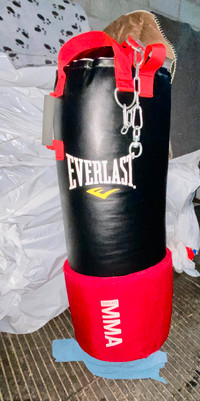 Martial Arts Punching bag in good condition