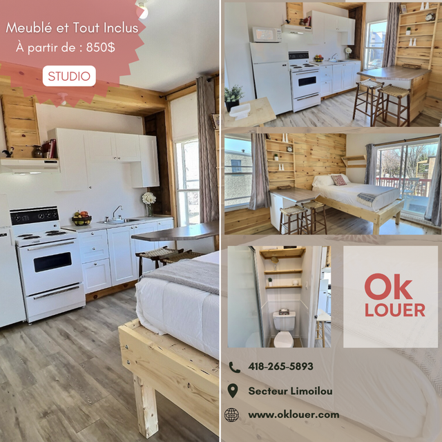 STUDIO TOUT INCLUS-MEUBLÉ A LIMOILOU