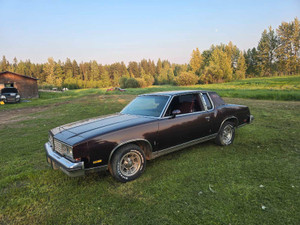 1980 Oldsmobile Cutlass