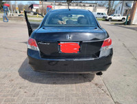 Safetied 2010 Honda accord EX-L Fully Loaded 