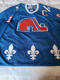 Sakic Quebec Nordiques jersey