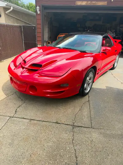 1995 Trans-Am wS6 Clone has the performance/sport transmission button Am/Fm CD power windows/locks/...