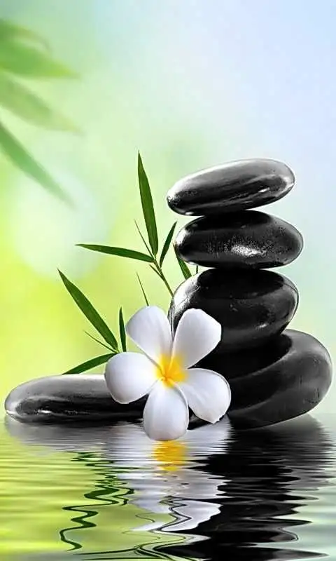 Best massage ever. acupuncture. cupping628632460597771214