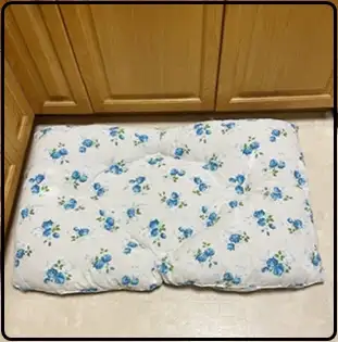 Transcona for pick up, near club regent casino. I sewed the dog bed for my grand dog and he slept on...