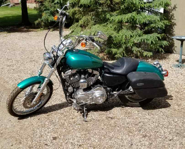 2009 Harley Davidson Sportster 1200 in Street, Cruisers & Choppers in Edmonton - Image 2