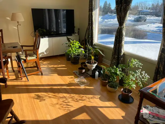 near the university room for rent in Room Rentals & Roommates in Regina - Image 4