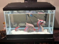 10 gallon aquarium with heater, filter, canopy and light