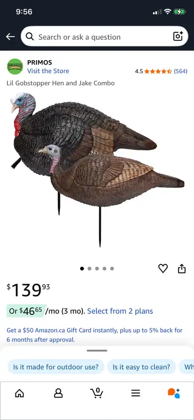Turkey decoys , View more