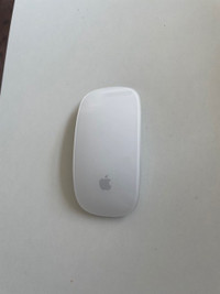 Apple Computer Mouse