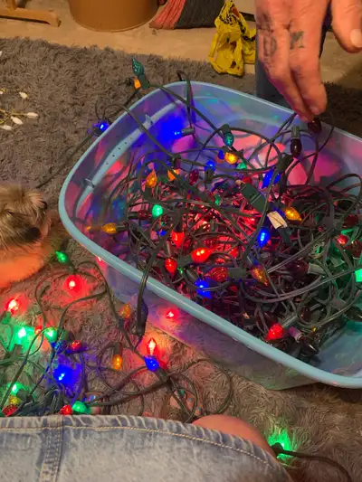 Christmas Lights, View more