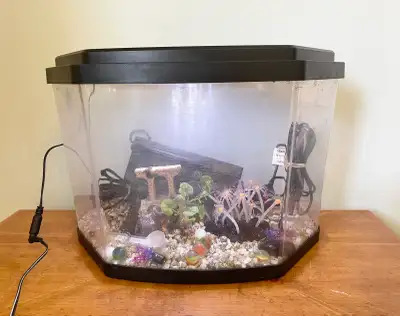Two small fish tanks and accessories for $20, View more