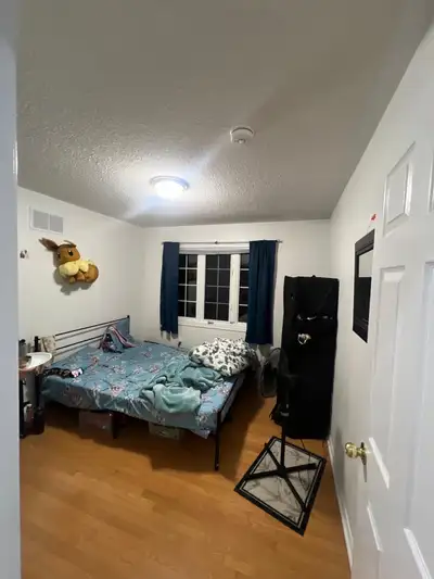 Room for rent