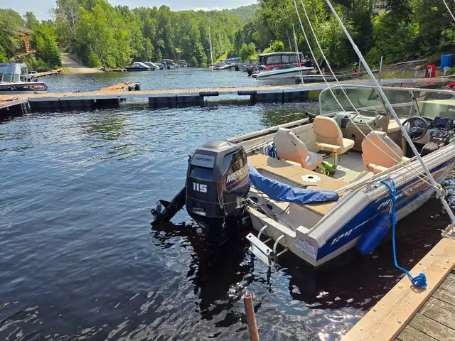 Bateaux  a vendre  in Powerboats & Motorboats in Laurentides - Image 3