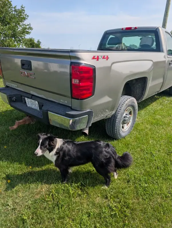 2500 Chevy Silverado518514675654348802