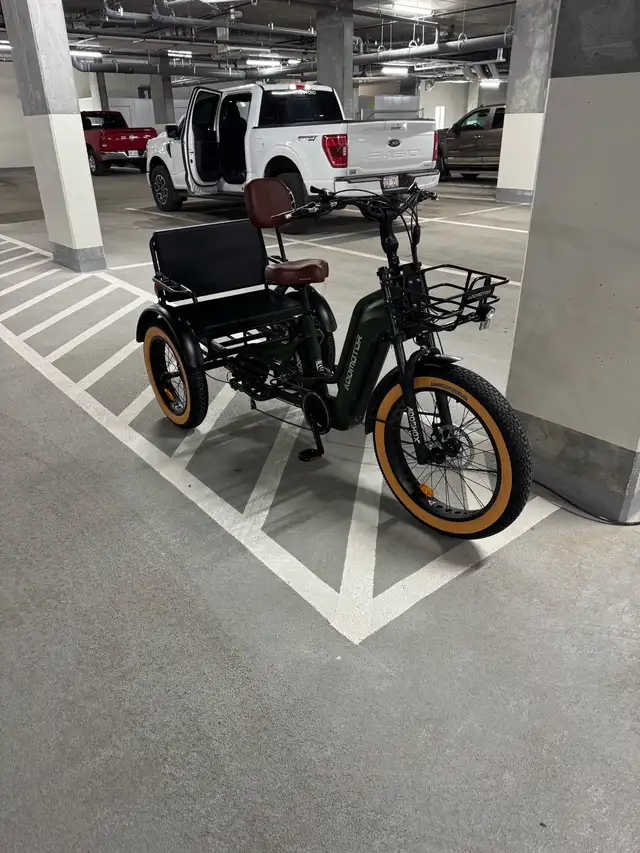 Addmotor Greattan L M-370L trike in eBike in Lethbridge - Image 4