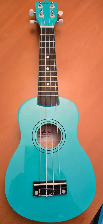Youth Ukulele with case - Comes with Taylor Swift Ukulele Collection of 27 Hits to strum and sing al...