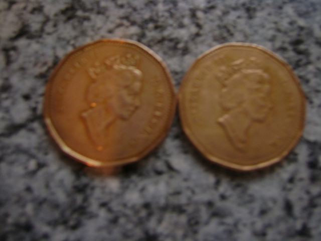 TWO OLDER CANADIAN LOONIES  1990 & 1995 in Arts & Collectibles in Windsor Region - Image 2