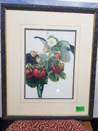 Strawberry print, framed