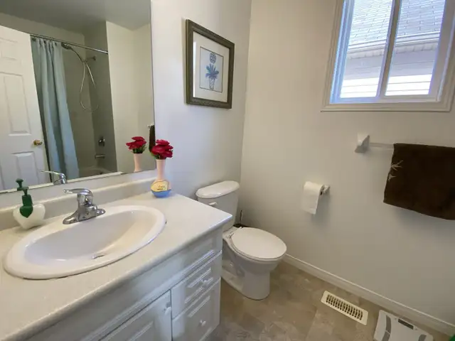 Cleaning lady64840202159746123