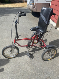 Special needs tricycle 