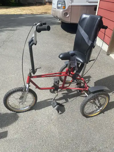 Special needs tricycle; high back, seat belt. May need new chain