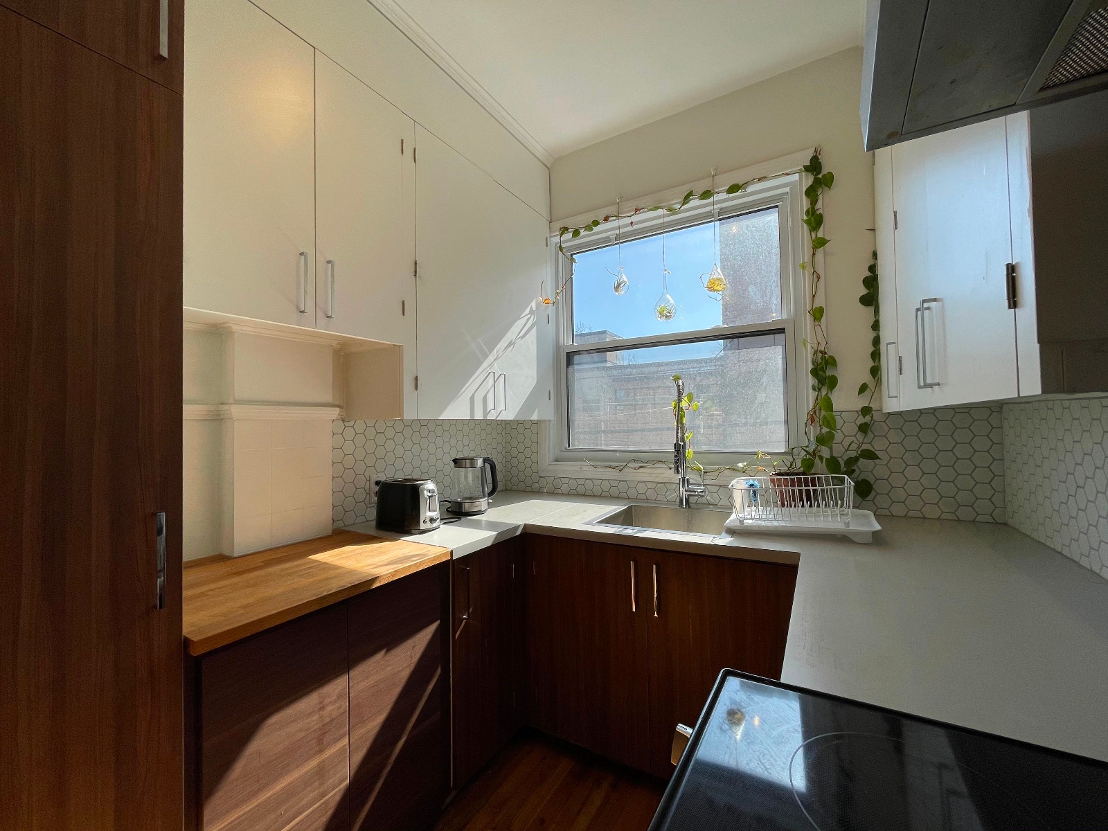 Bright, sunny 4-1/2 1-bedroom apartment near Beaubien metro — photo 3