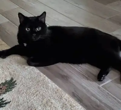 beautiful boy, View more