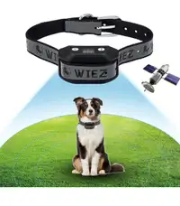 Wiez gps pet electronic fence dog collar/clôture électrique  