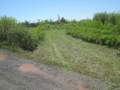 unserviced gravel lot . looking at offer$$$ waterview,quiet,private,rural farmland,gravel lot Hamilt...