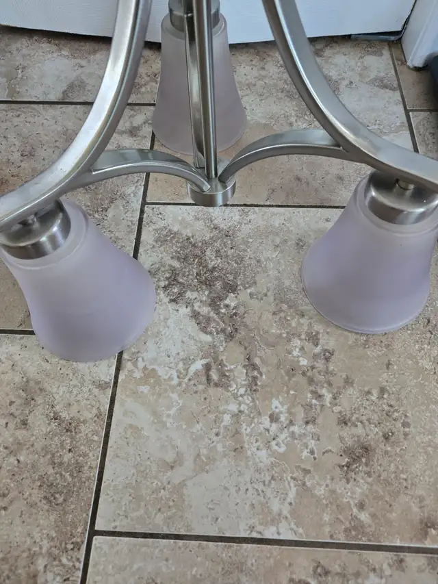 Celling light586460844650680321