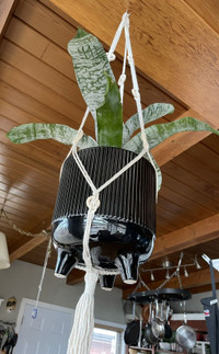 Handmade macrame plant pot hanger 