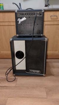 Vintage amp and speaker cab