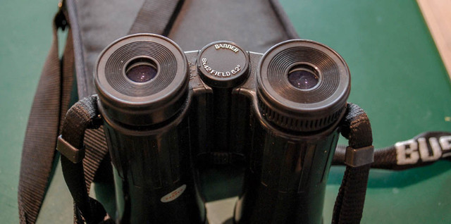 Bushnell Banner - Waterproof Professional Binoculars 8X42 in Fishing, Camping & Outdoors in Cambridge - Image 2