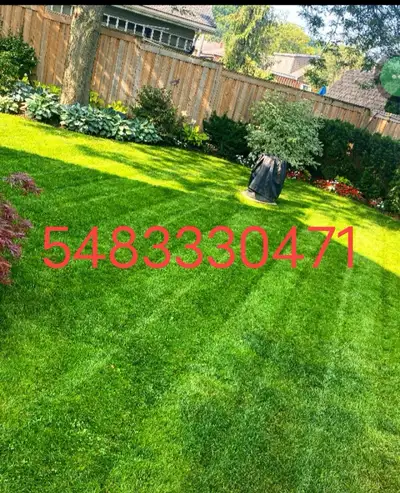 Grass cutting ,carpet cleaning, fance and dask staining,, View more