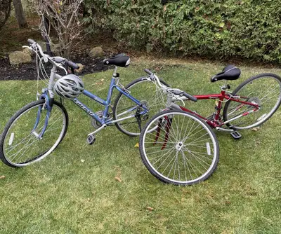 Giant Cypress Women & Men Bikes with Helmets, View more