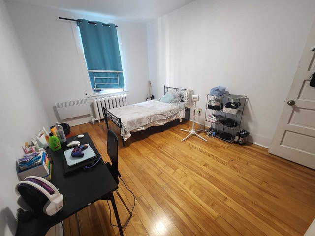 Downtown room for rent! — photo 1