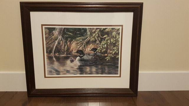 Framed Print – Christine Wilson - Loons with Chicks in Arts & Collectibles in Dartmouth - Image 2