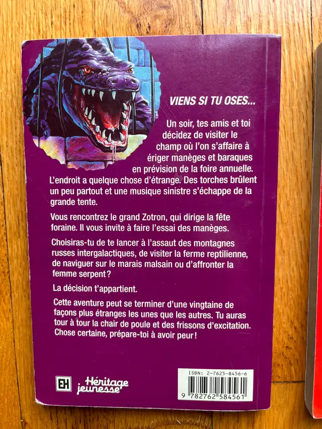 LIVRE ENFANT ADO JEUNESSE * CHAIR DE POULE EXTRA * (7$chaque) in Children & Young Adult in Longueuil / South Shore - Image 3