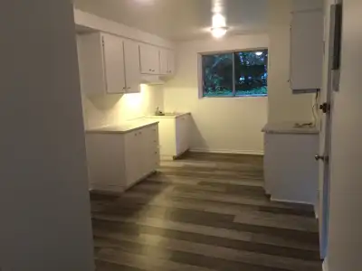 Très grand demi sous-sol 51/2 avec chauffage inclus. 3 chambres fermées. Rénové. Porte-patio en avan...